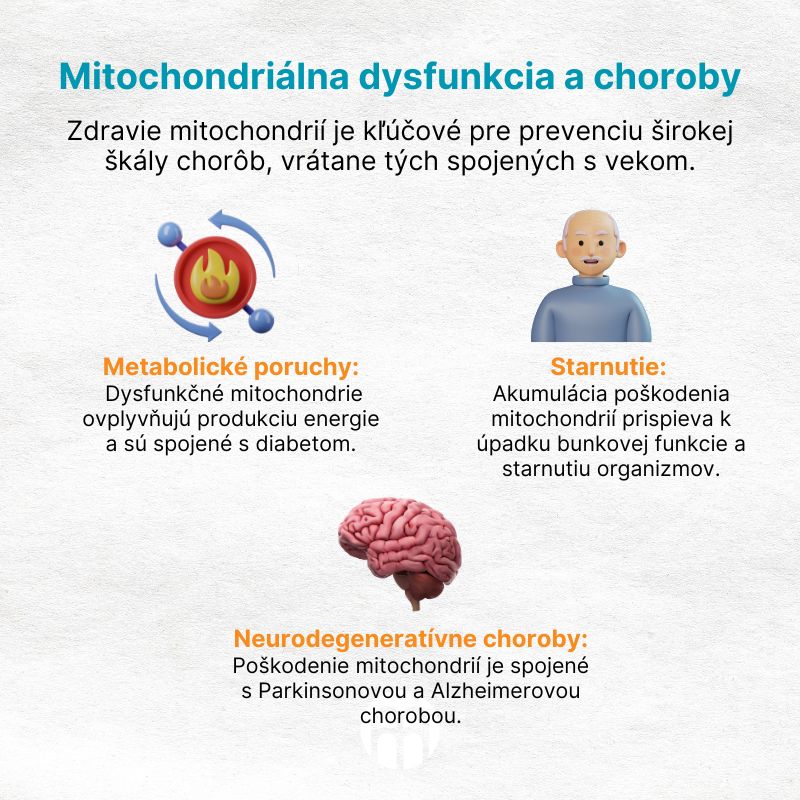 (Slovenčina) Mitochondriální dysfunkce a nemoci